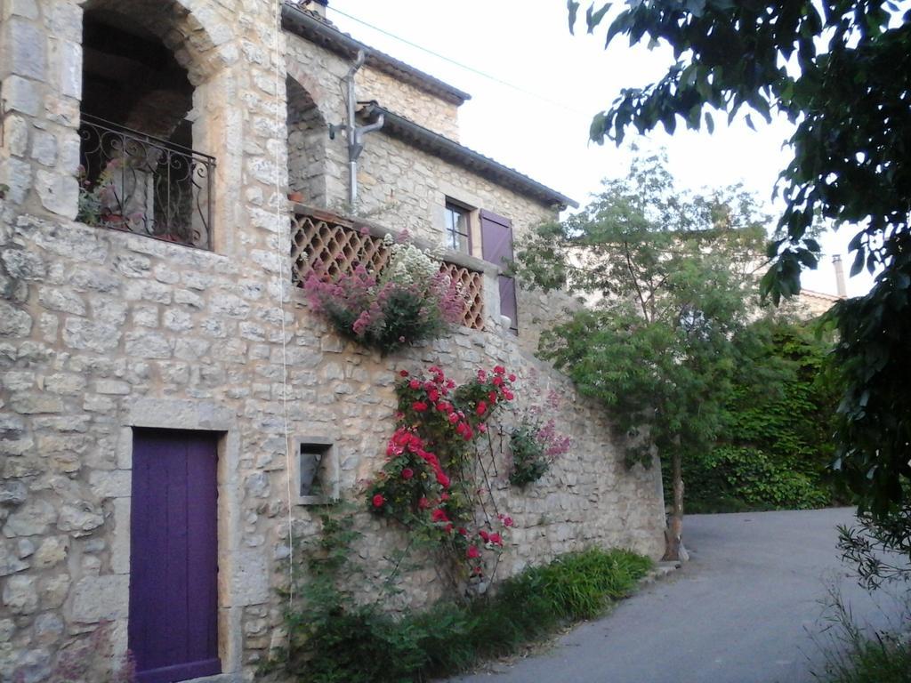 Bed and Breakfast Domaine De Peyre Brune à Beaulieu  Extérieur photo